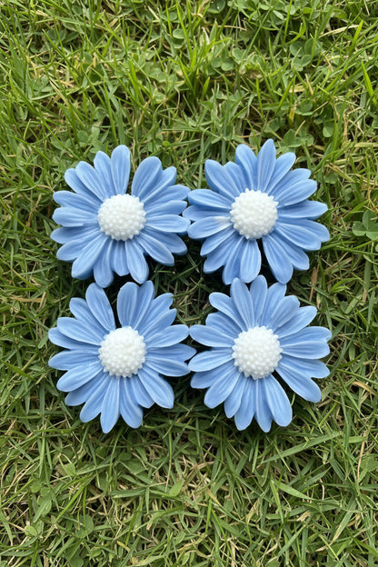 Little Daisy’s