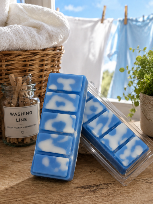 50g Snap Bars - Laundry/Cleaning Scents