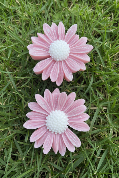 Little Daisy’s